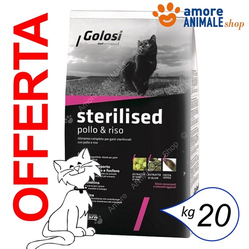Golosi cat adult - cat,