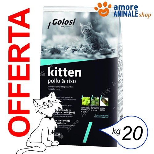 Golosi cat kitten - kitten, e