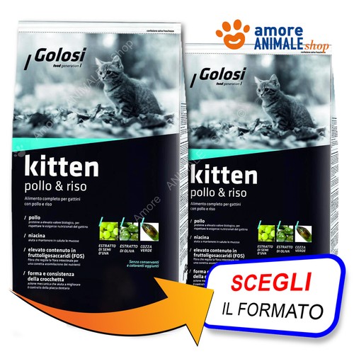 Golosi cat kitten - →, e