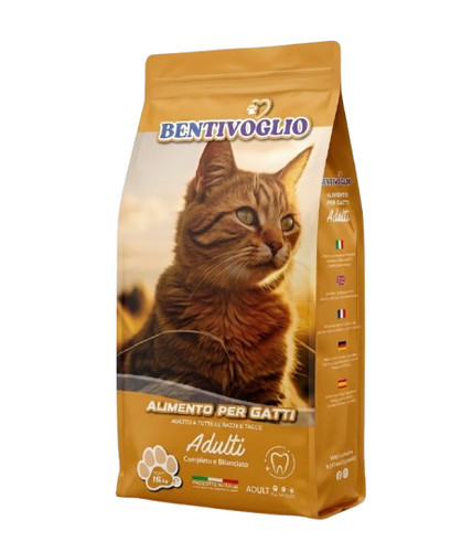 Bentivoglio cat adult 10 - cat, 30-10