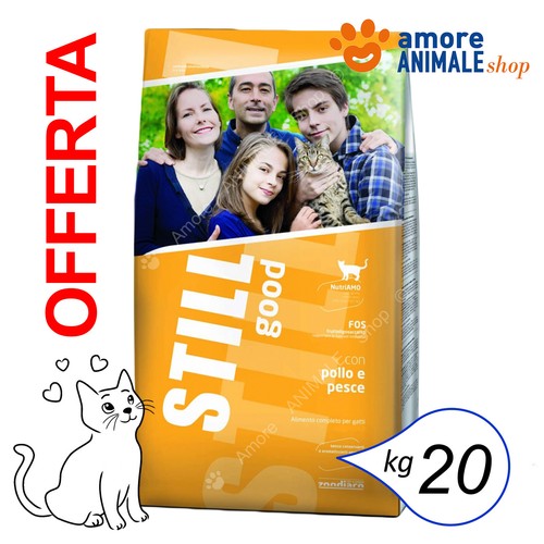 Still cat good pollo e - good,